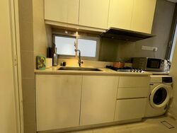 The Laurels (D9), Condominium #563739481